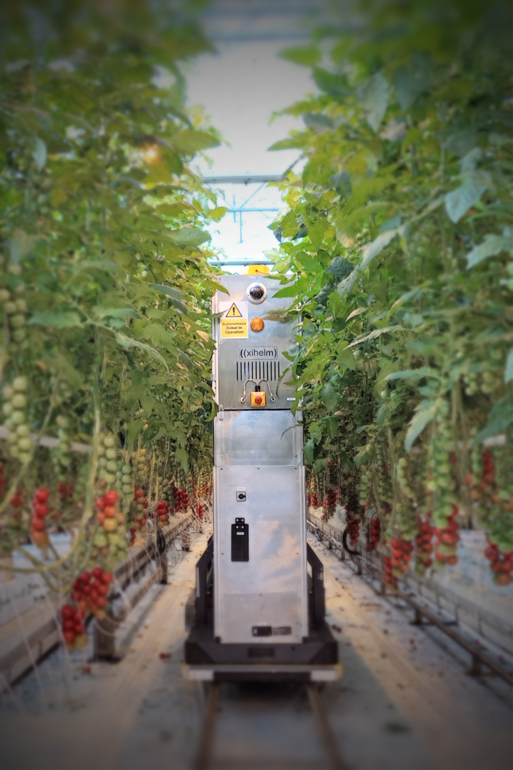 How robot would operate