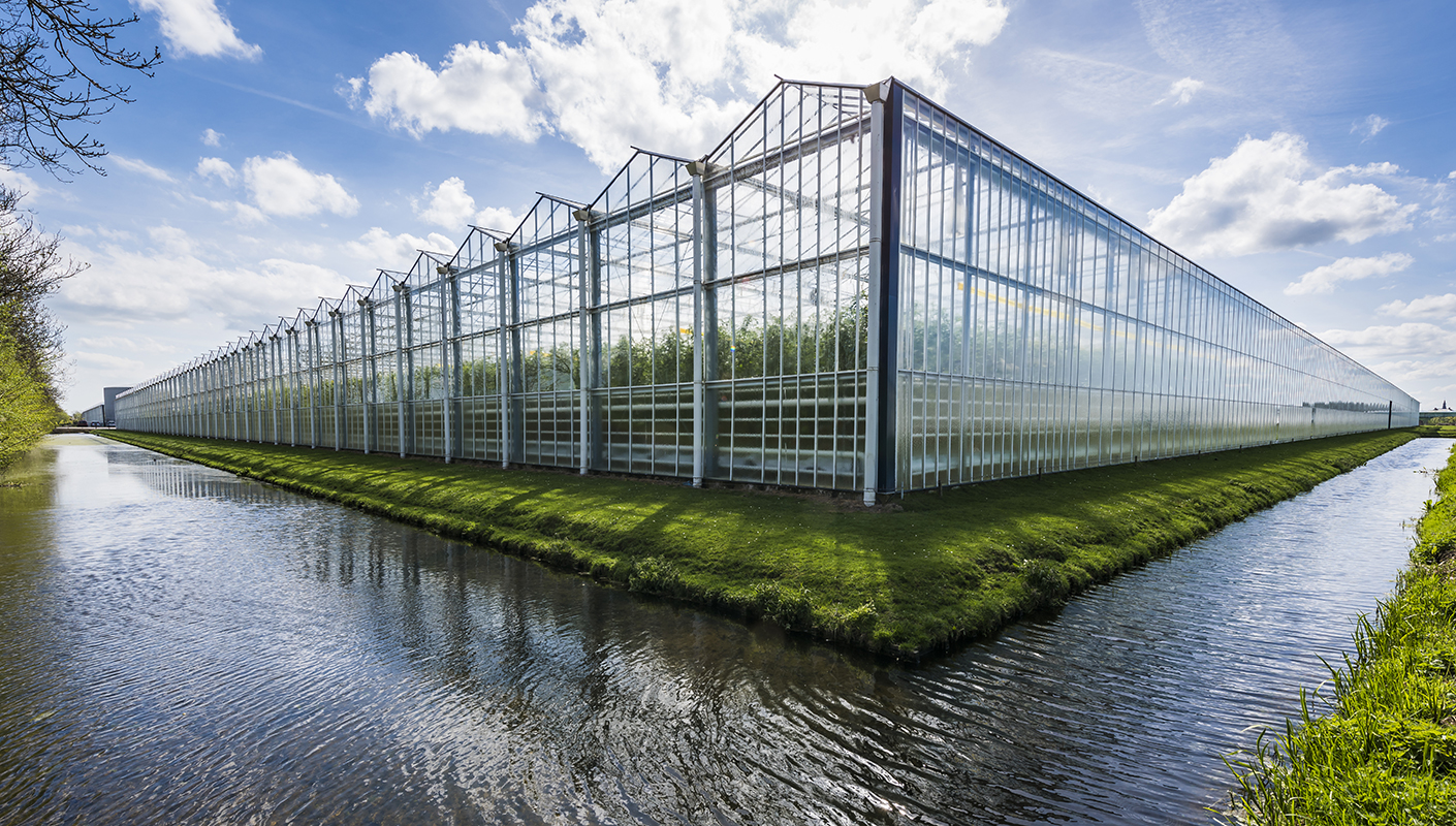 Warehouses in which crops will be grown