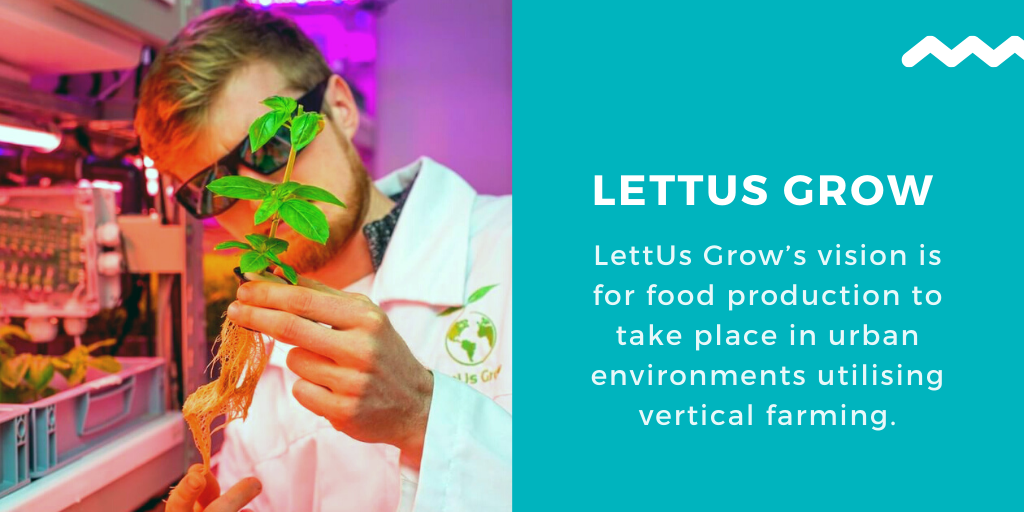 LettUs Grow